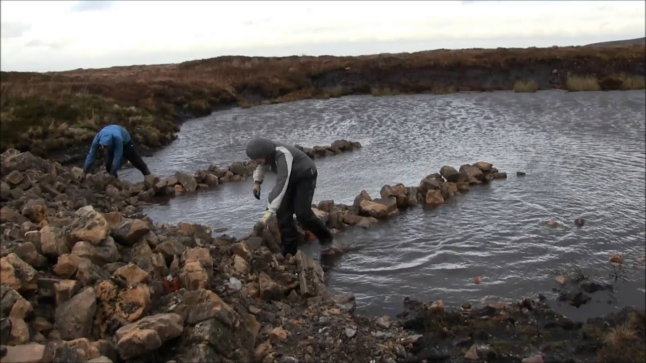 Habitat creation - Tan Hill