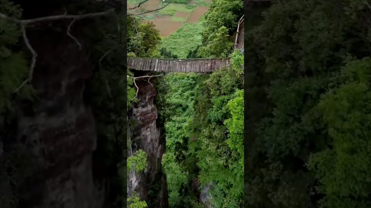 😱😱The Most Dangerous Wooden Bridge in the World! 😱😱 #Shorts #Bridge #Scary
