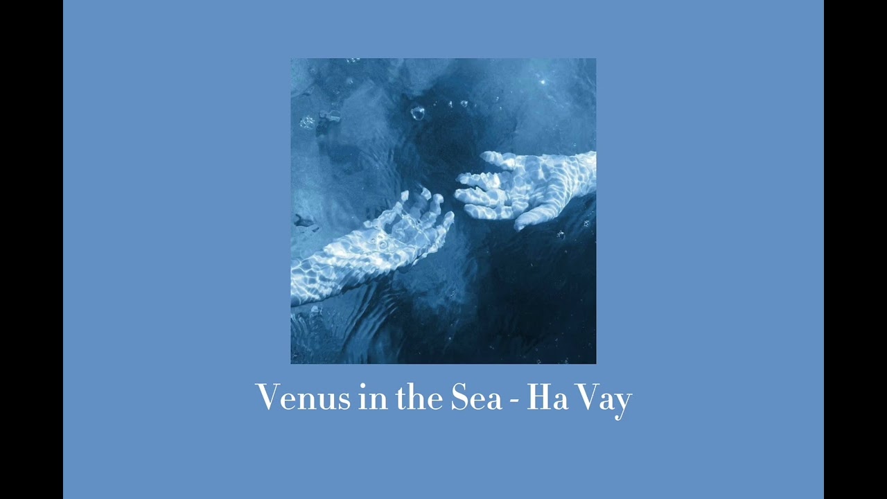 Ocean Playlist 🌊