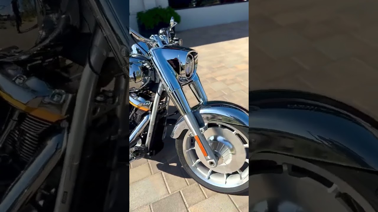 showoffmyharley 1746750798 3628329163208282298 1708609807