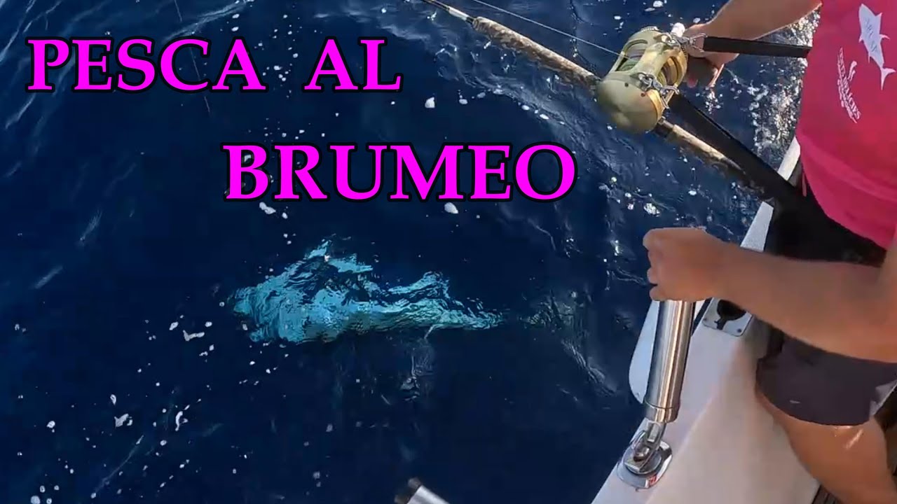 ATÚN ROJO al BRUMEO