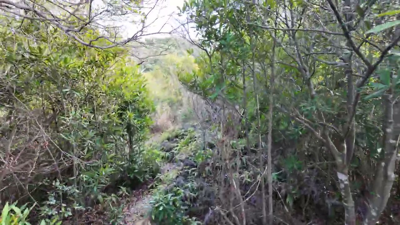 五浦の先端からの景色　和歌山県田辺市新庄町　2026/2