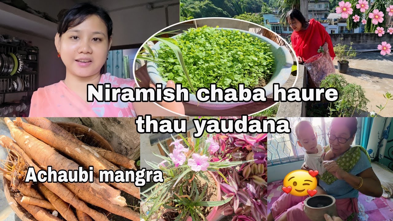 Thau chaba lepase thongbam amata khangdare🤔 Achaubi mangra😲 @Nongthonbampakhonglei4770 