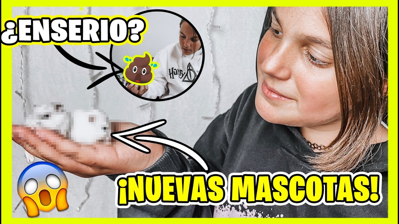 **NUEVA MASCOTA** ¿ Un HAMSTER ? 🐹  Mi NUEVA MASCOTA TIENE Un ACCIDENTE 🤢 PAULA BLANCO OFICIAL