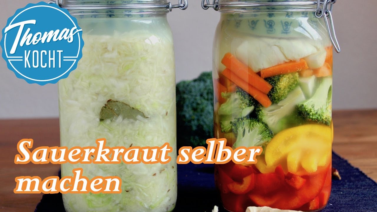 Sauerkraut selber machen / einfach und gesund / Thomas kocht
