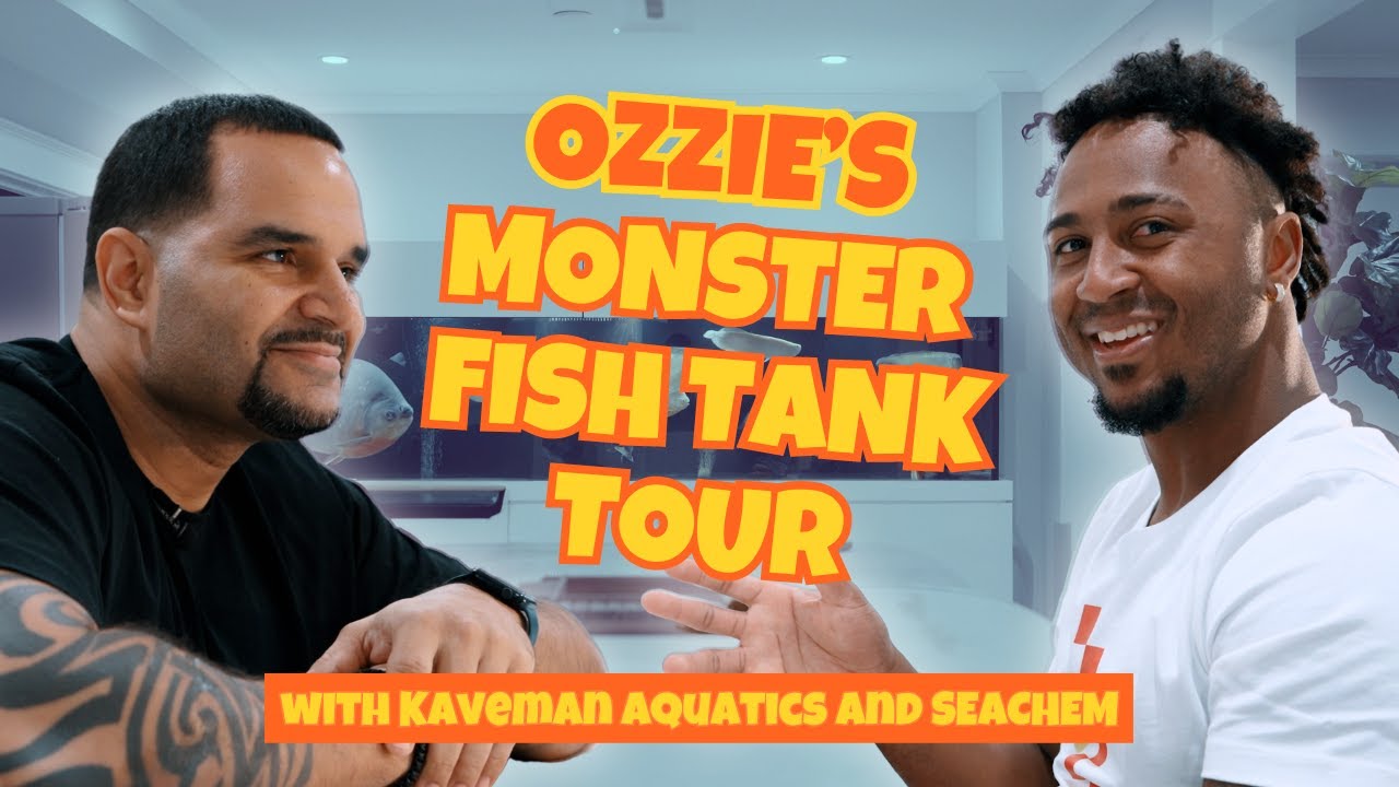 I Visited Ozzie Albies' Man Cave! (Monster Tanks & Fish)