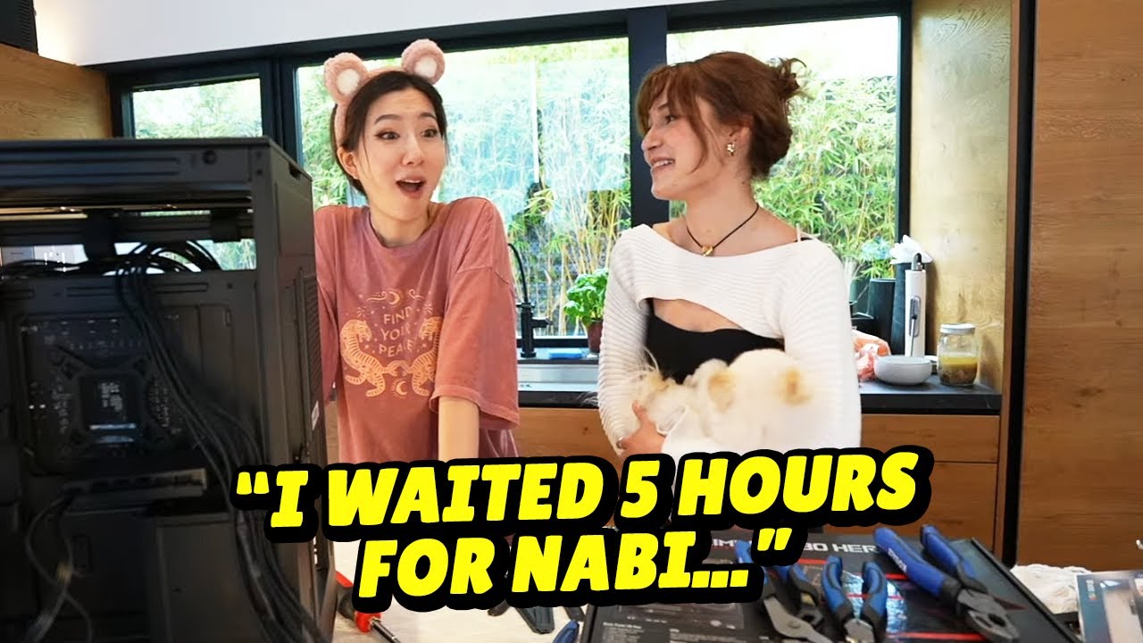 Что случилось с собакой Миён, пока её не было дома