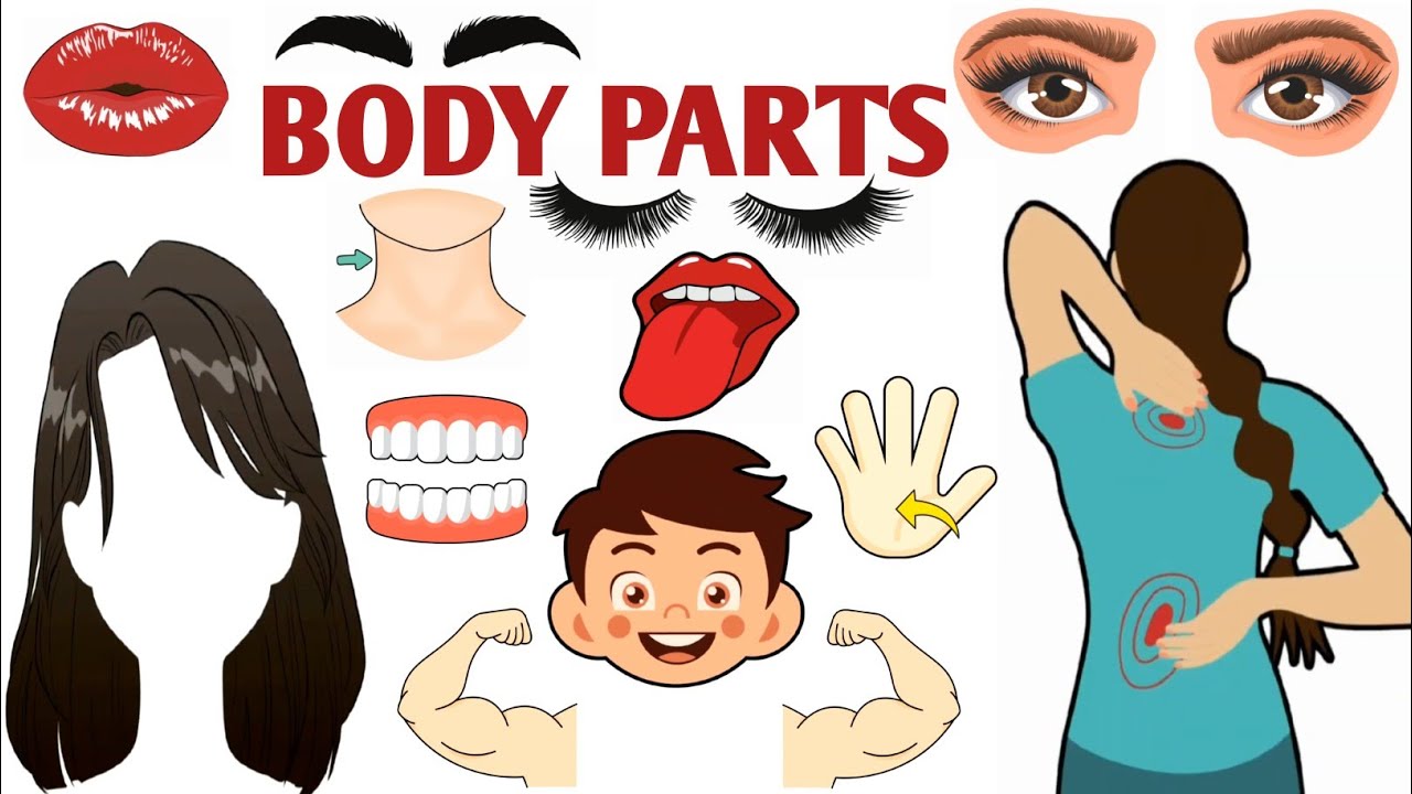 Parts of the Body | Parts of the Body for LKG Kids | Learn Body Parts & Sense Organs | #partsofbody 