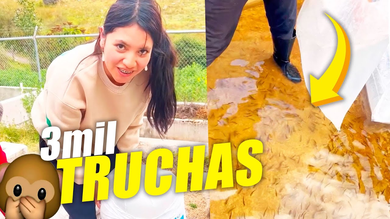 PLANTAMOS 3 mil TRUCHAS en tiempo RÉCORD🐟😱  | La Jhois