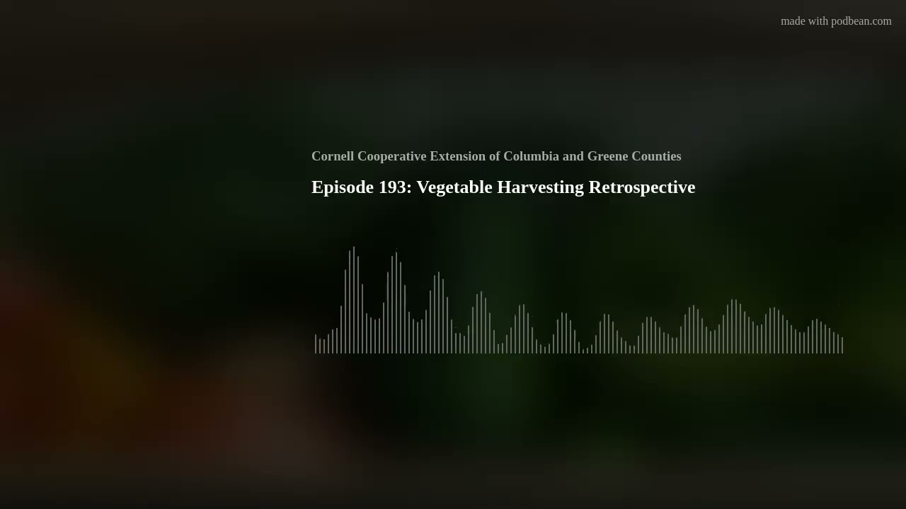 Episode 193: Vegetable Harvesting Retrospective