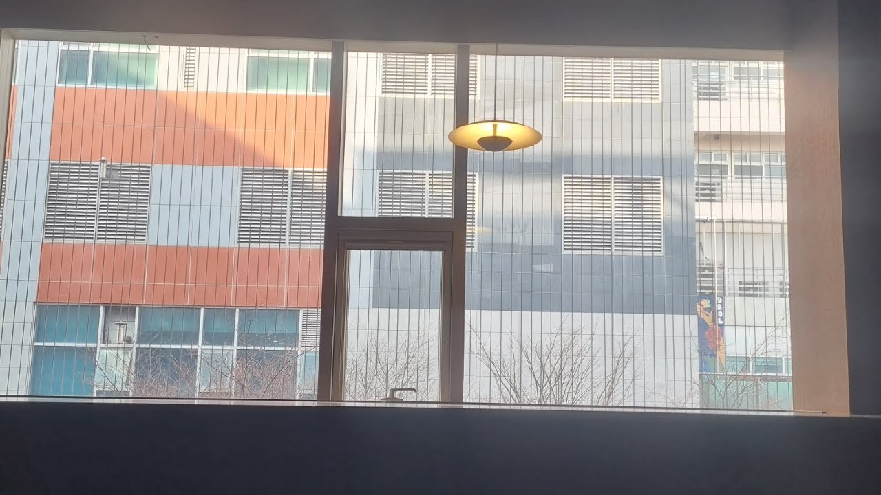 2025 데일리 브이로그 