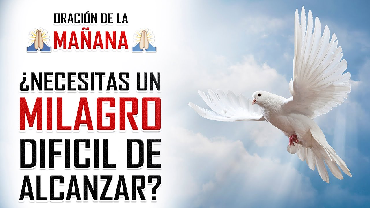 🔥ORACION MILAGROSA 🙏PODEROSA ORACION AL ESPIRITU SANTO PARA RECIBIR UN MILAGRO DIFICIL DE ALCANZAR