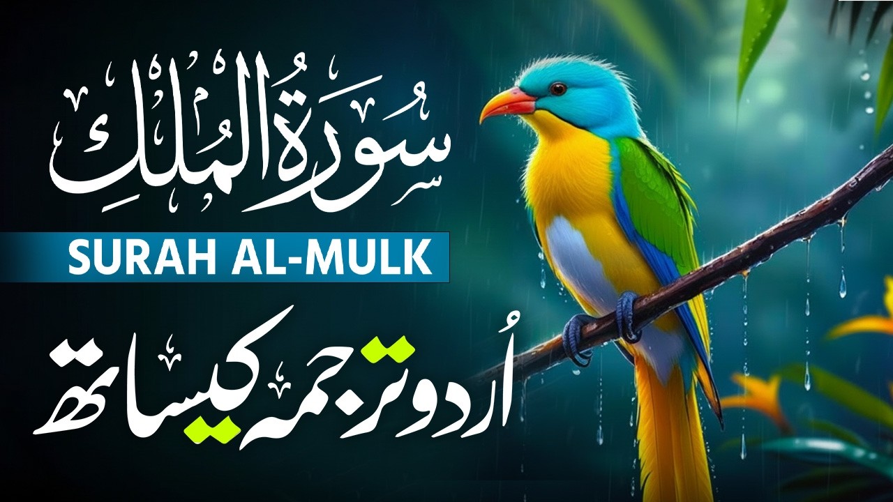 Surah Al-Mulk سورة الملك | Heart-Calming Recitation for Protection, Peace & Night | Qari Mansoor