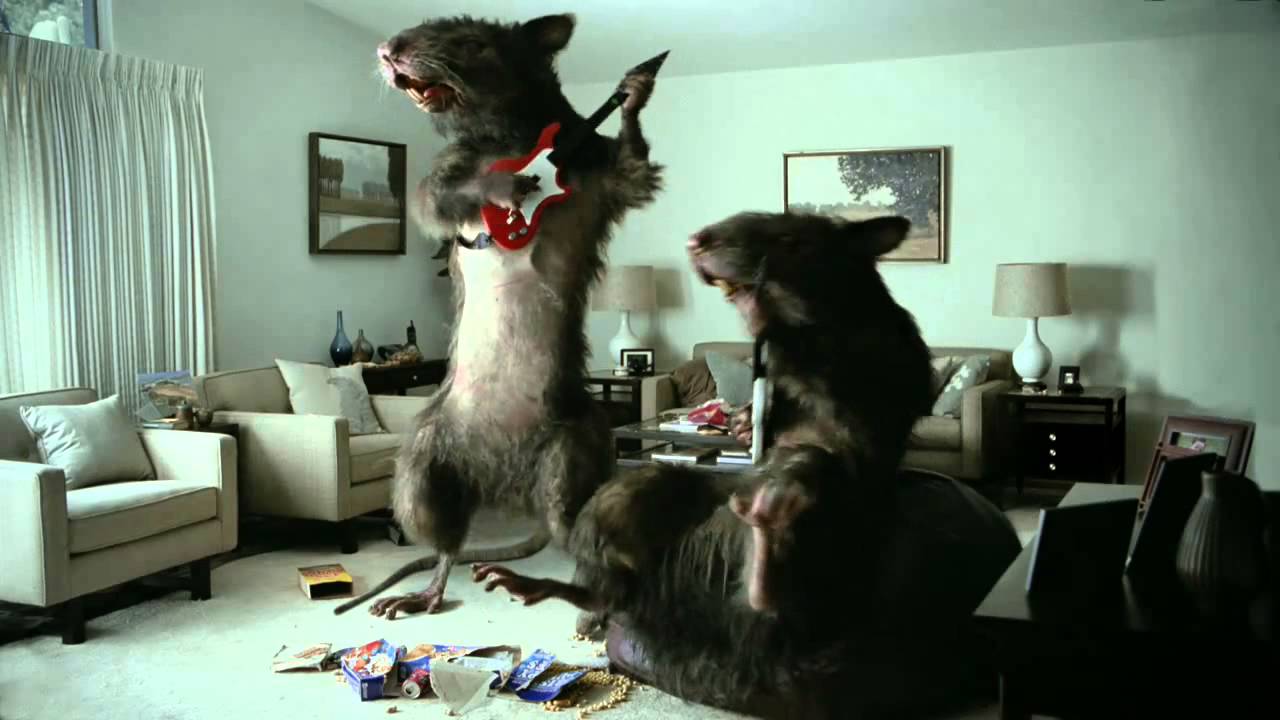 Orkin Commercial Vacation