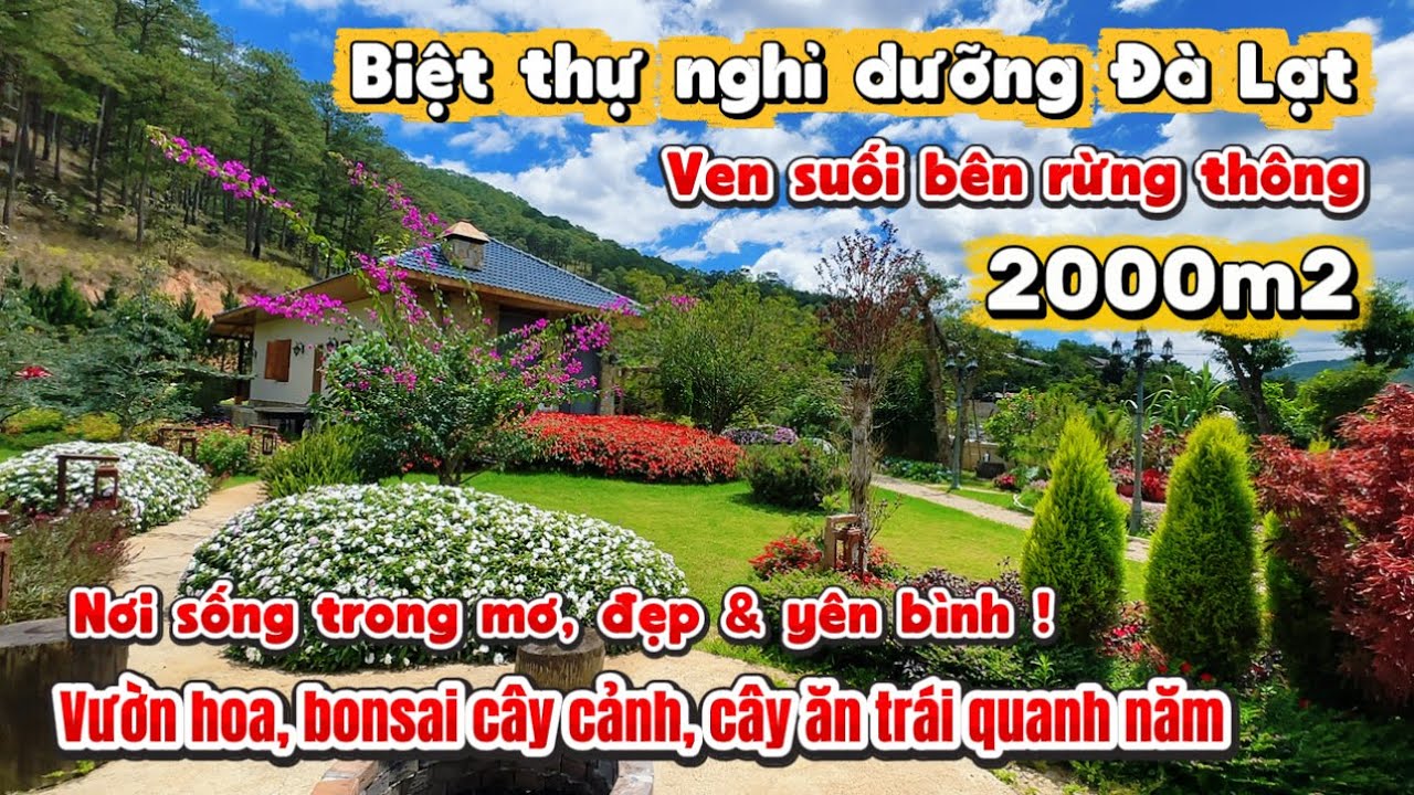 Biệt Thự Đà Lạt 2000m2 ven Suối bên Rừng Thông QUÁ ĐẸP và yên bình - đáng sống & trải nghiệm !