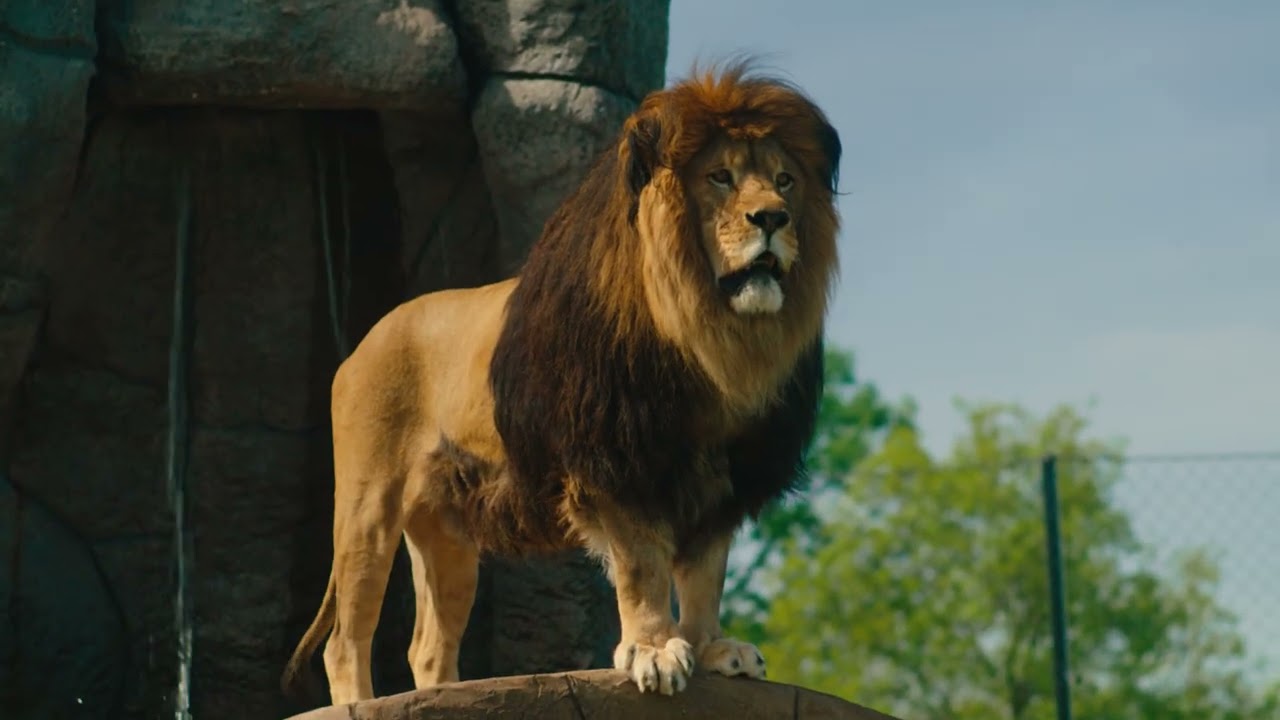 Lake Tobias Wildlife Park 2026 | A Family Adventure Awaits (Opening May 1st)