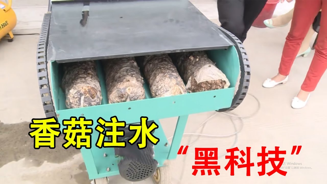 注水&ldquo;黑科技&rdquo;！5秒完成菌袋全方位注水，节水环保能省30个人工