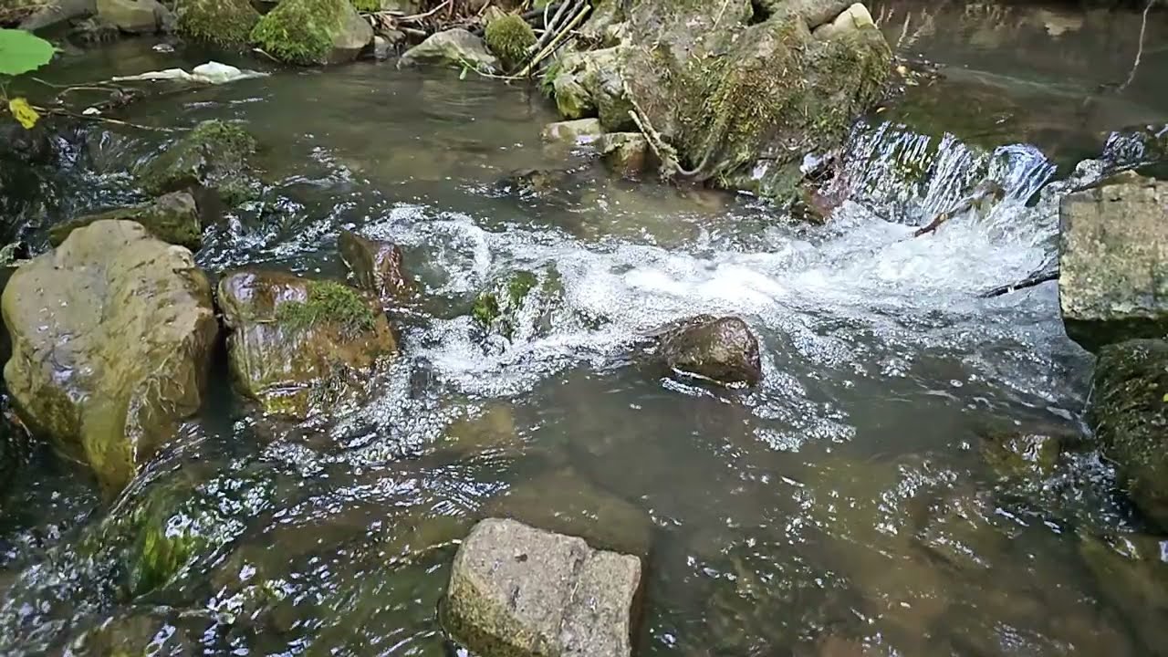 Ljepote BiH