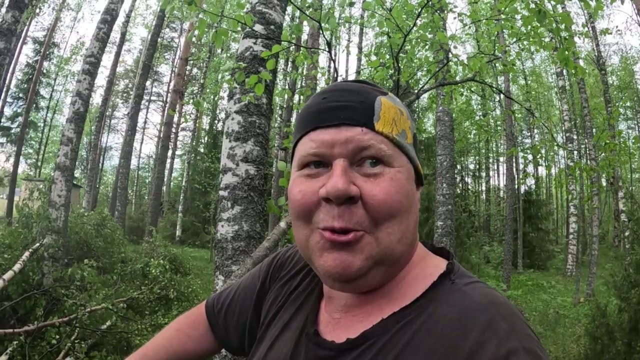 Appilan koivut nurin