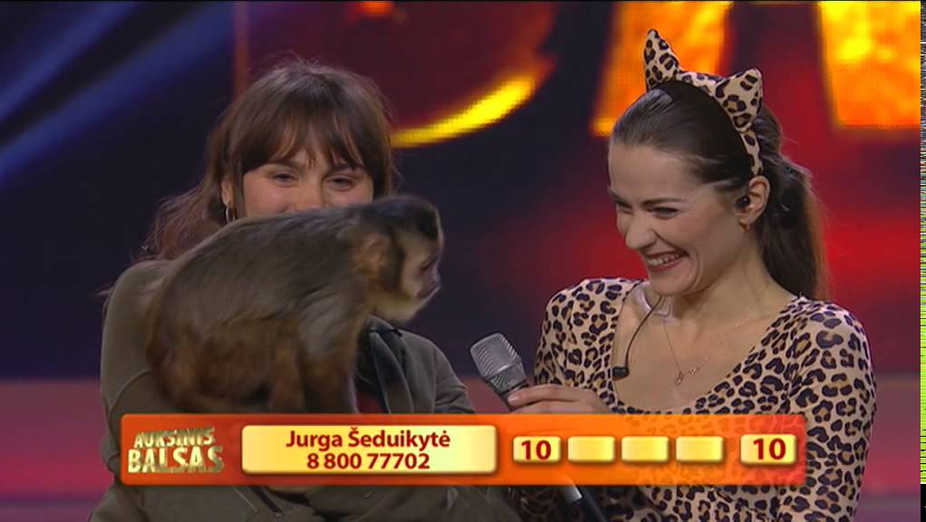 LRT „Auksinis balsas-3“: Jurga Šeduikytė - Roar