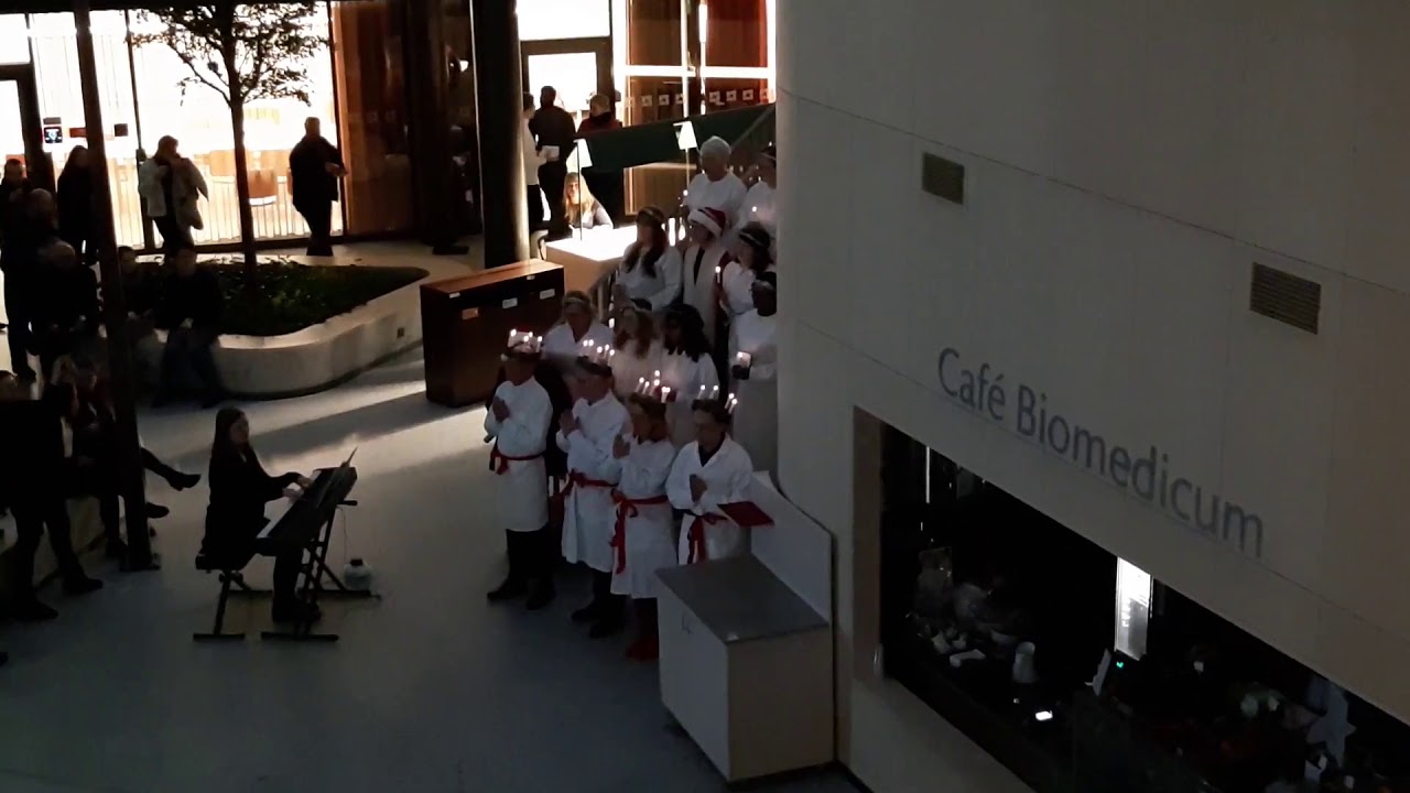 Sankta Lucia Biomedicum