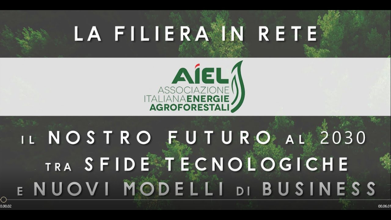 1 anno di Aiel: collaborare per un futuro sostenibile