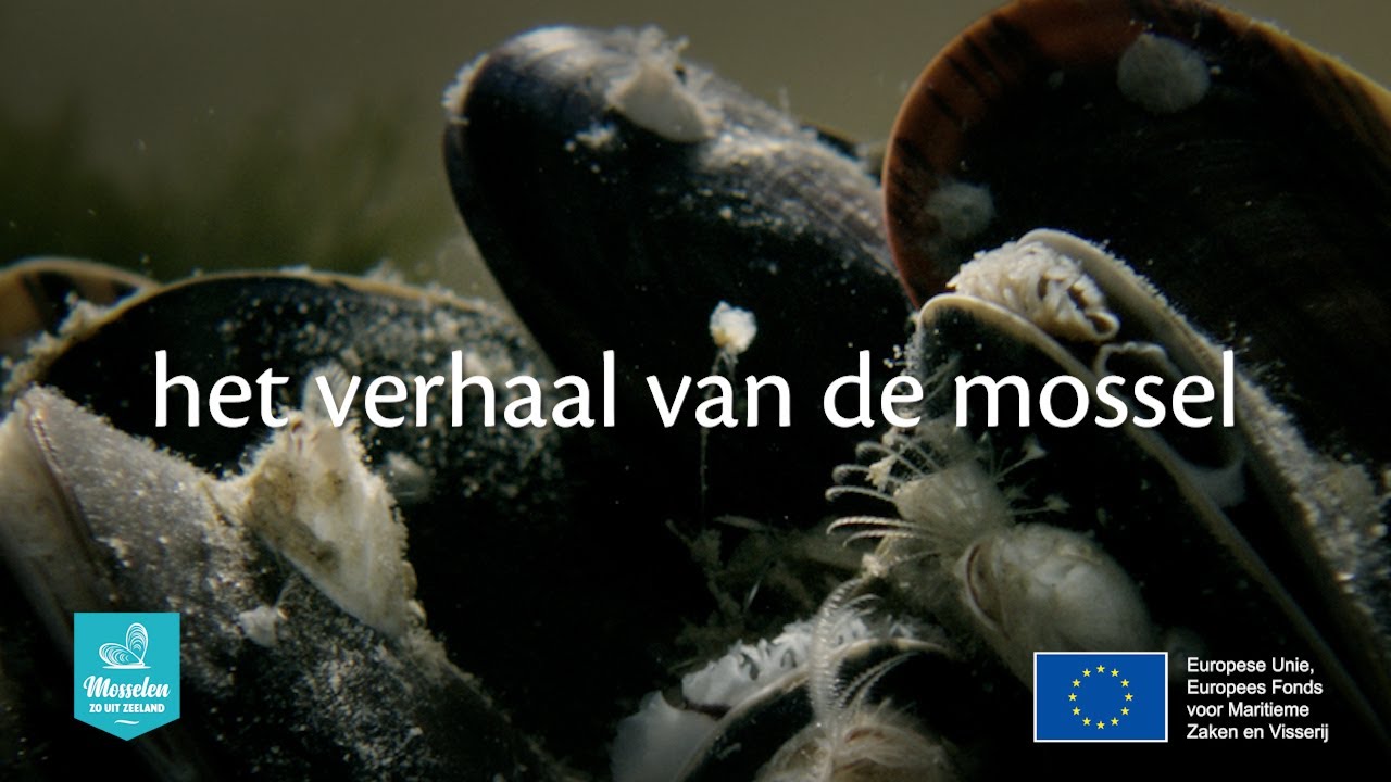 Het Verhaal van de Mossel