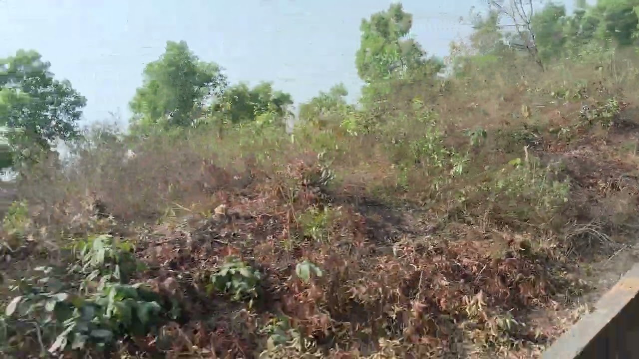 रेल सफर 🌱🌱🌱🌱🌱🌱