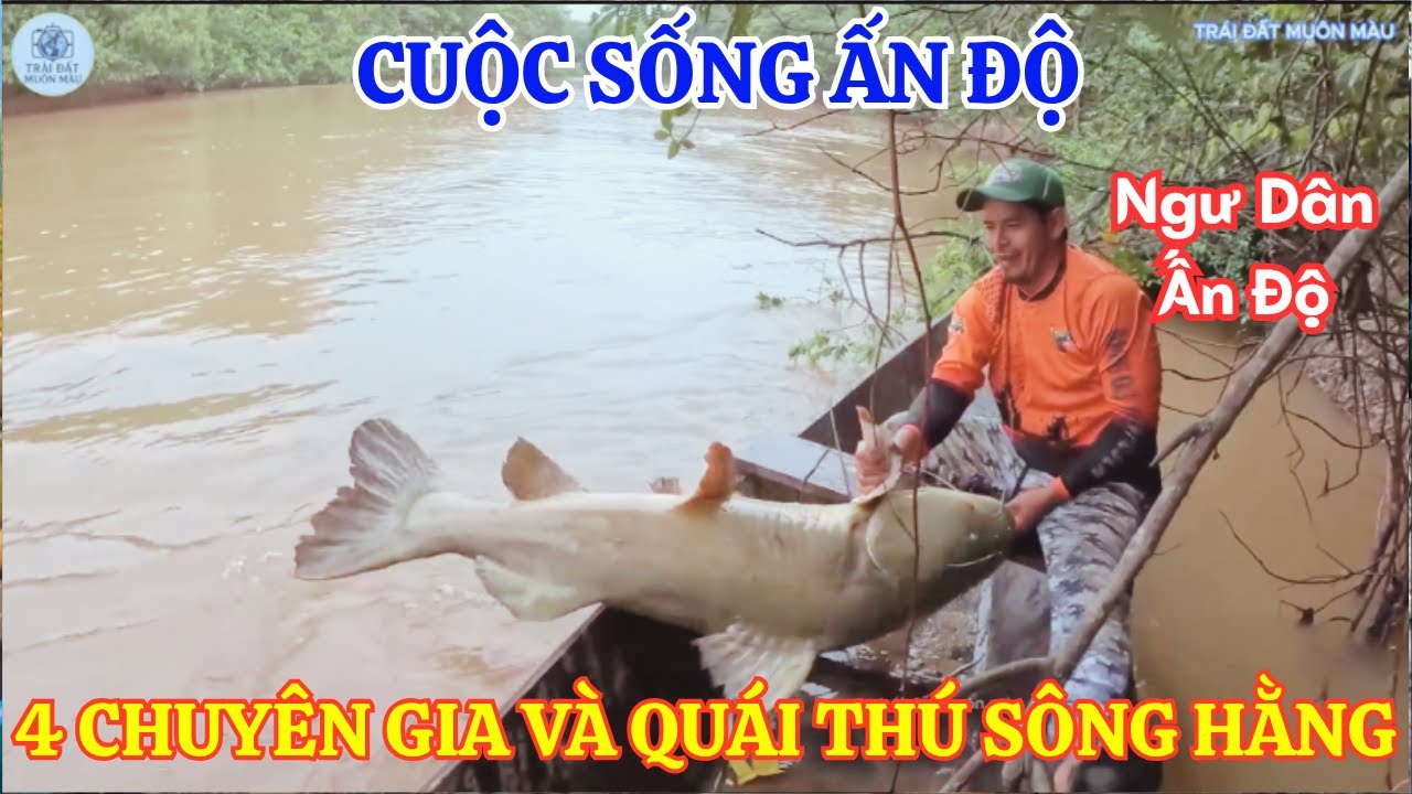 Cuộc sống Ấn Độ: 4 chuyên gia câu cá Thế Giới Thách Đấu Cá Trê khổng lồ ăn thịt người trên Sông Hằng