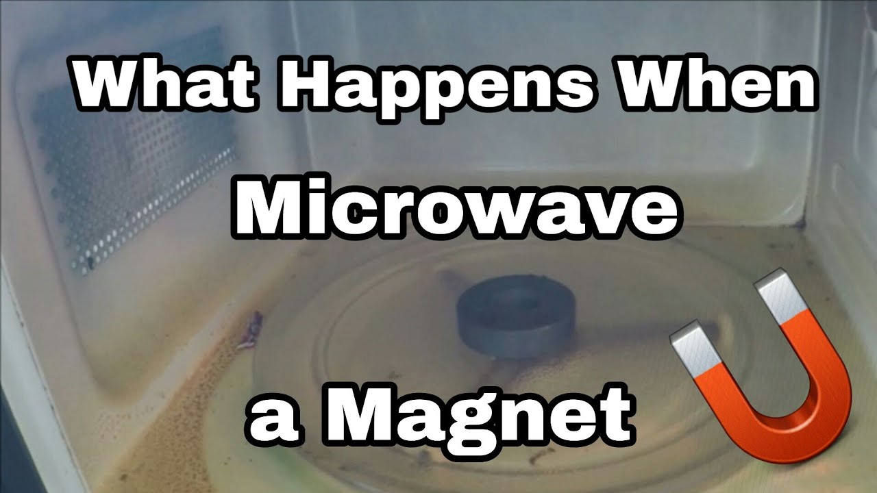 What Happens When You Microwave a Magnet
