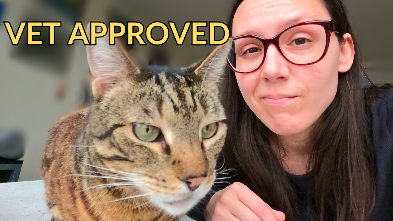Avoid these cat food recipes