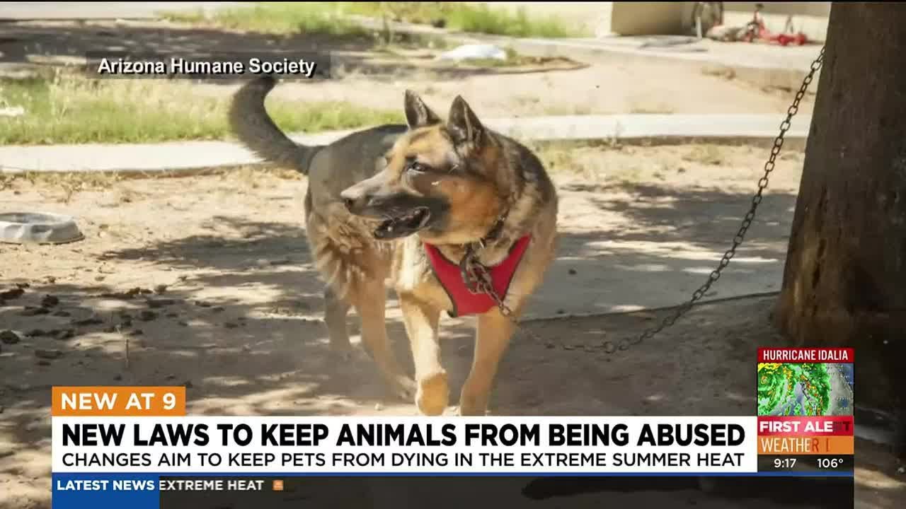 New Phoenix laws to keep animals from being abused