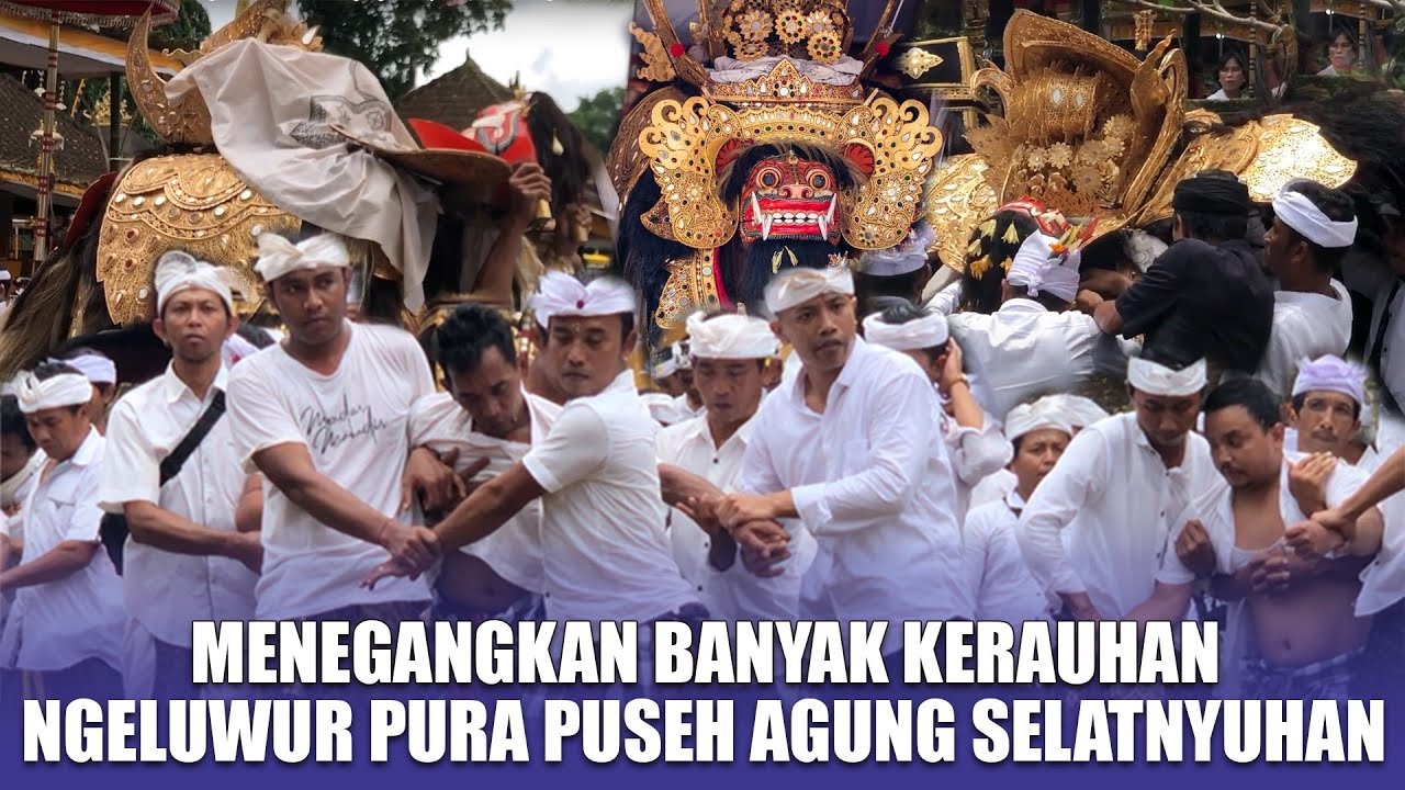 BANYAK KERAUHAN Prosesi Sakral Ngeluwur Pura Puseh Agung Selatnyuhan, Susut, Bangli