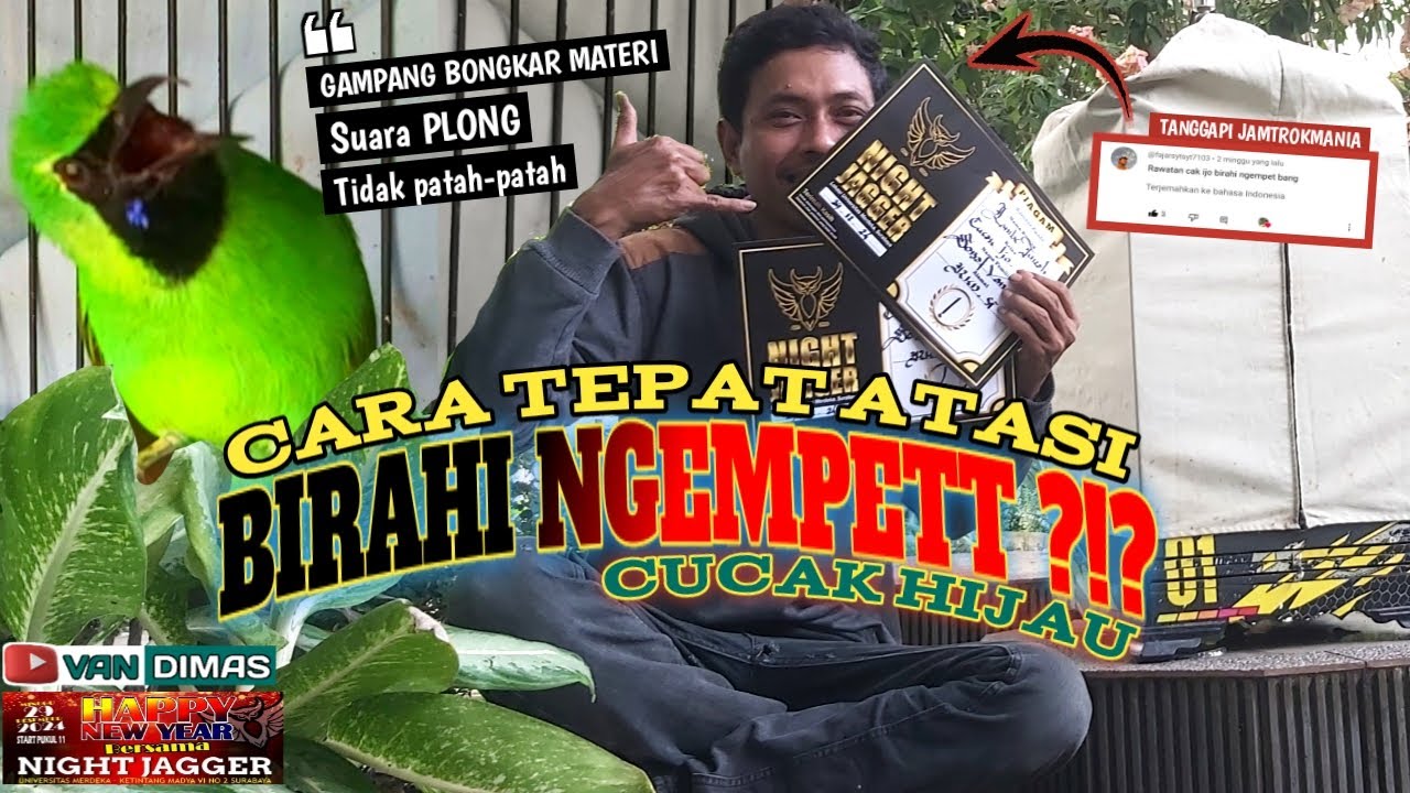 BLAK-BLAKAN Seputar Cucak ijo BIRAHI NGEMPET ‼️LAMBE TURAH_Happy New Year NIGHT JAGGER SURABAYA