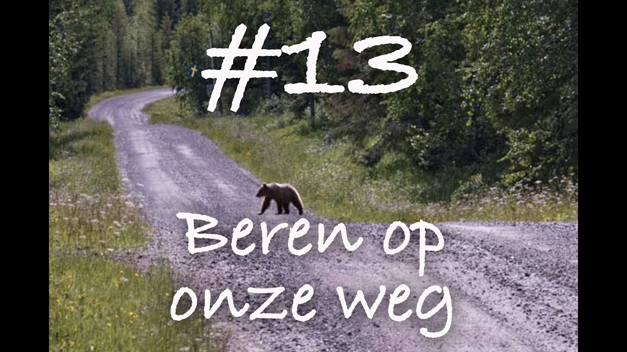 vlog #13 Camper zwerven 2018 .......... naar Zweden.  Reis naar de Lofoten