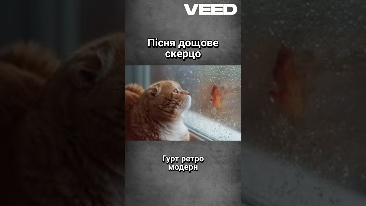 Дощове скерцо  