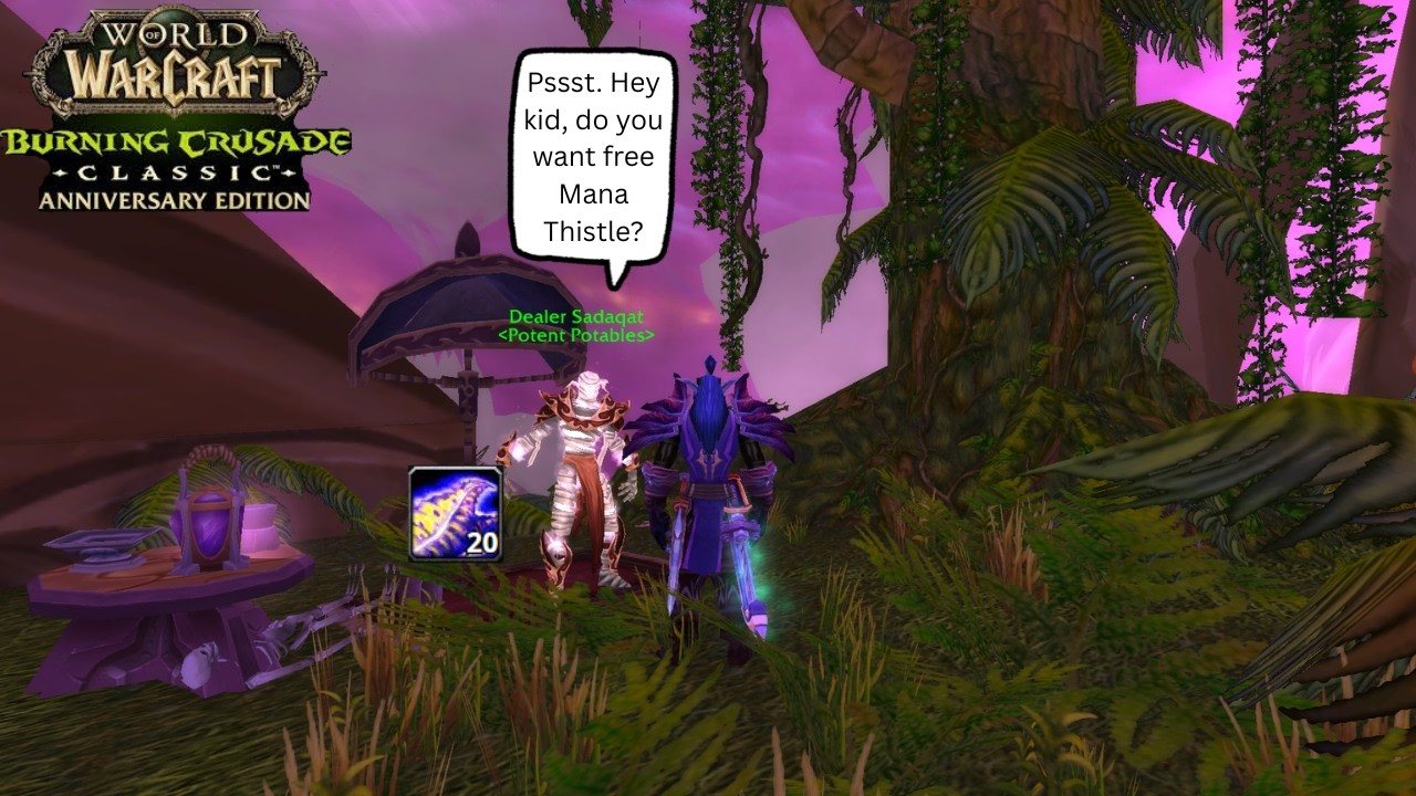Did You Know That Vendors Sell Mana Thistle? AFK Gold Guide | WoW TBC Anniversary