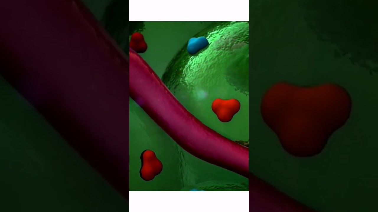 الفرق بين تحليل PSA free & PSA total