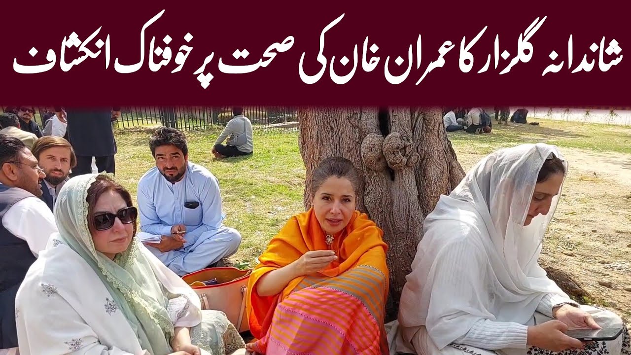 Shandana Gulzar About Imran khan Health and Protest outside Supreme Court | WAHJOC 