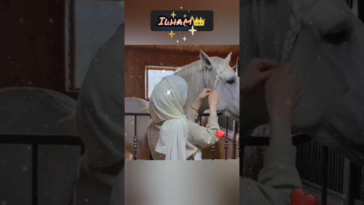 ديديكاس لحبيبتي إلهام 👑💖