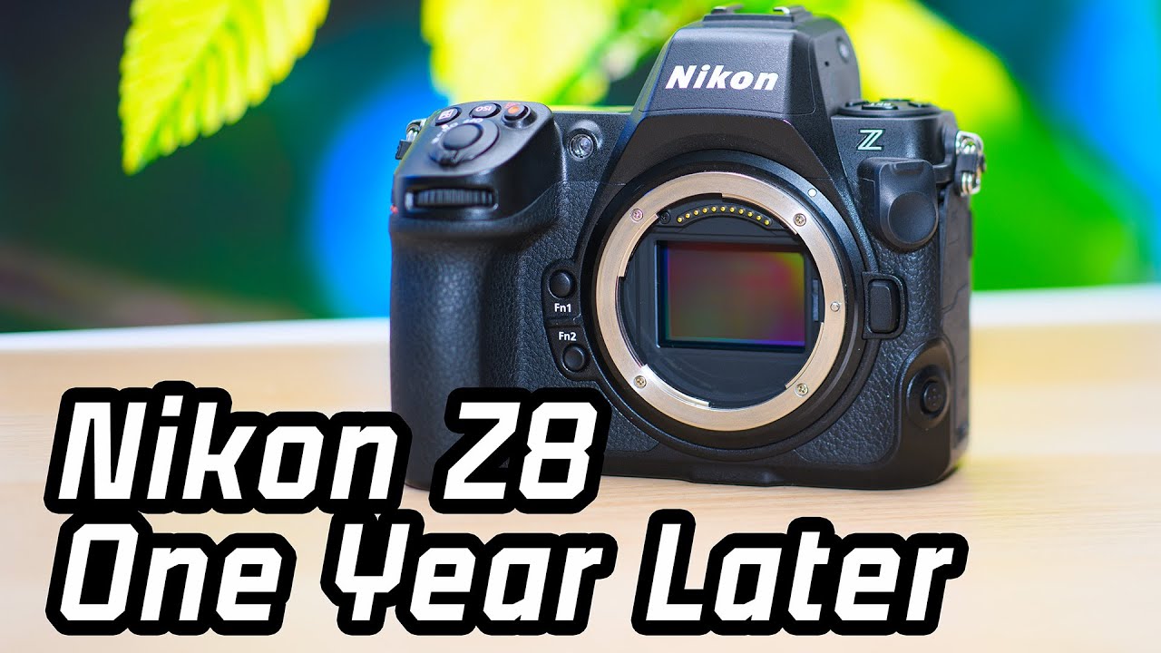 One year with the Nikon Z8