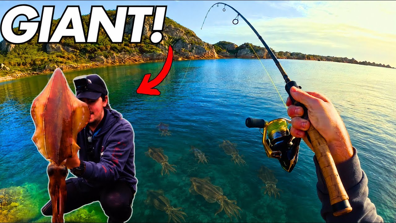 SOUTHERN CALAMARI CATCH & COOK!! Squid fishing Tasmania