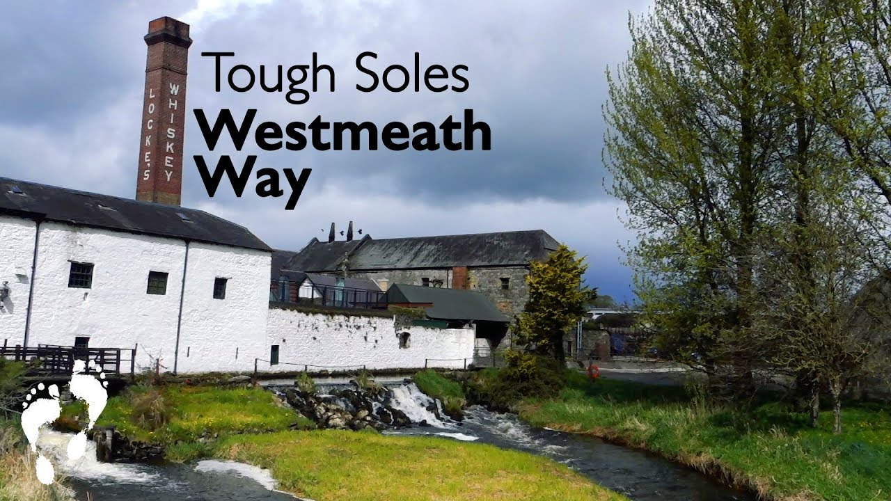 The Westmeath Way 👣 Kilbeggan to Lough Ennell