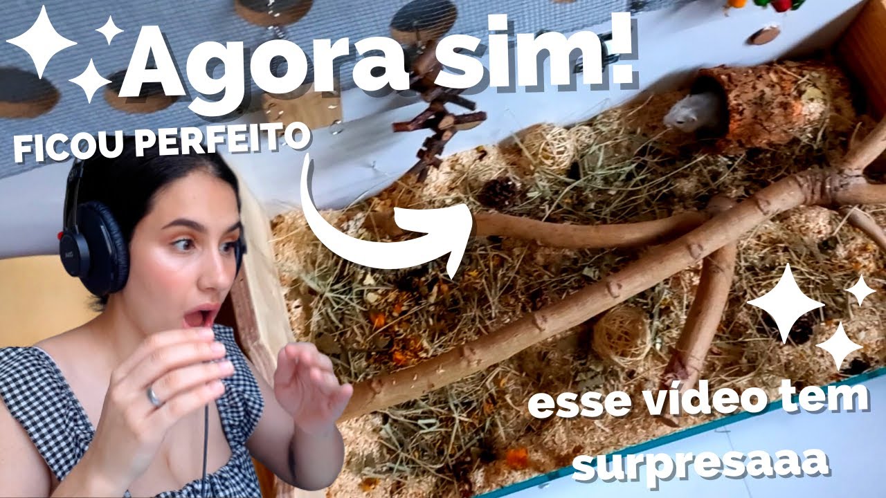 Consertei tudo que deu errado no alojamento dos gerbos + SURPRESAAAA 😱🎁