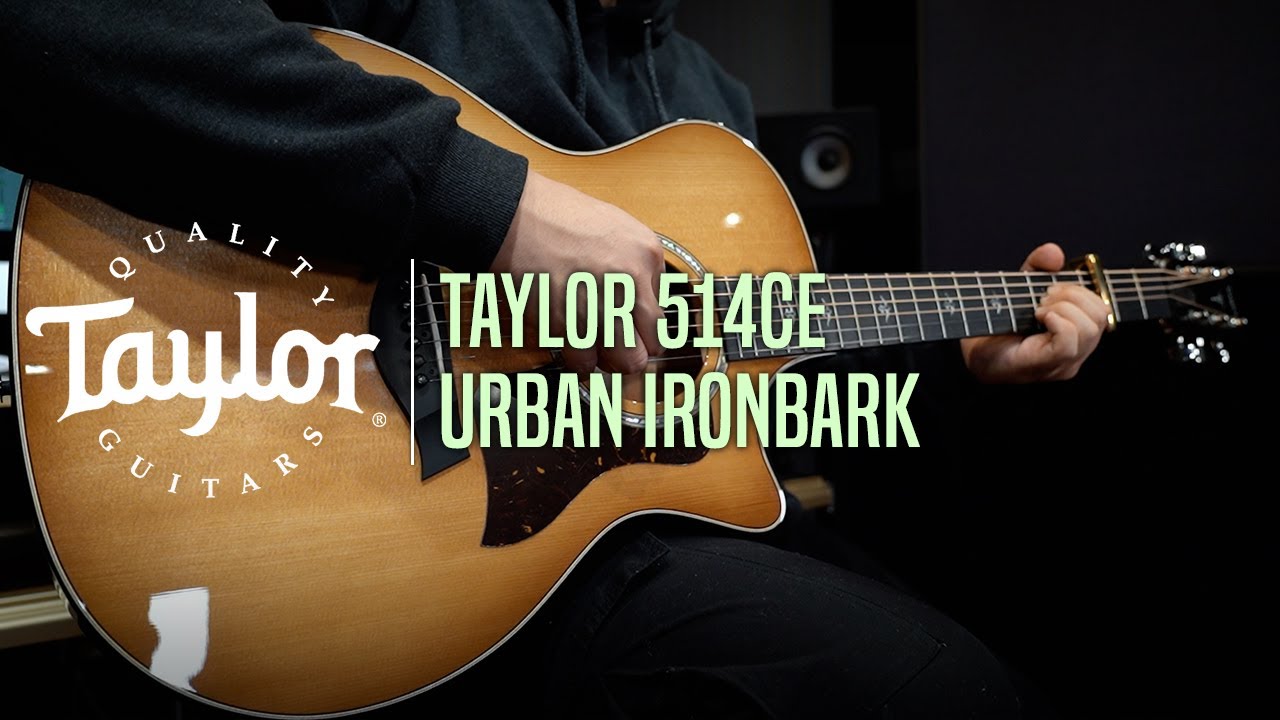 Taylor 514CE Urban Ironbark Demo 'Falling Slowly' Fingerstyle Ver. by Guitarist 'Jaehoon Jang' (장재훈)