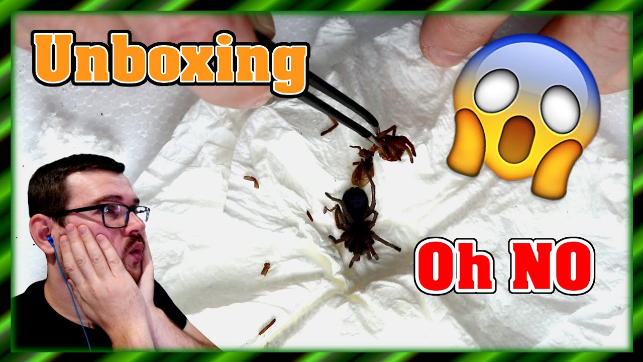 Unboxing - Totale Katastrophe