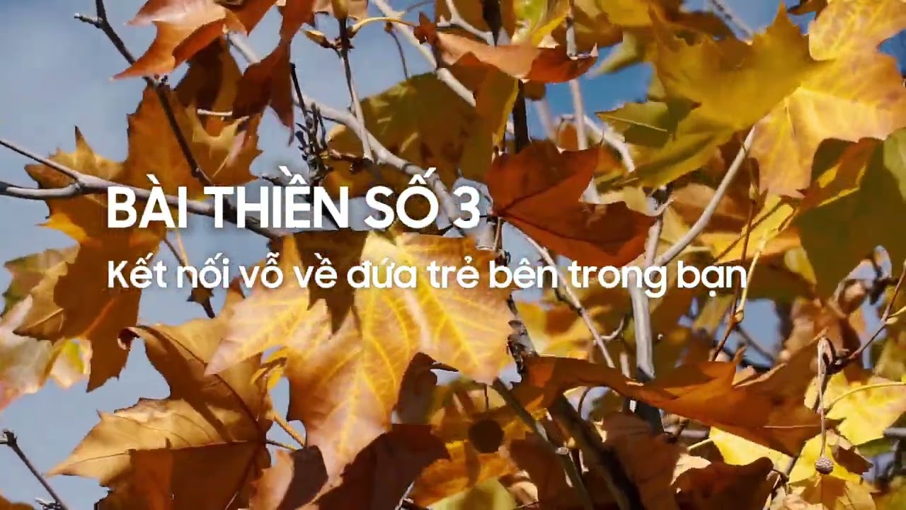 BÀI THIỂN SỐ 3 - Vồ về, chữa lành đứa trẻ bên trong (Lớp tính nữ)