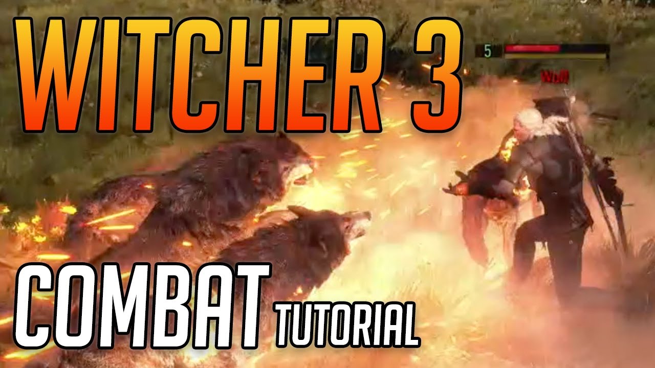 Witcher 3 Combat Guide