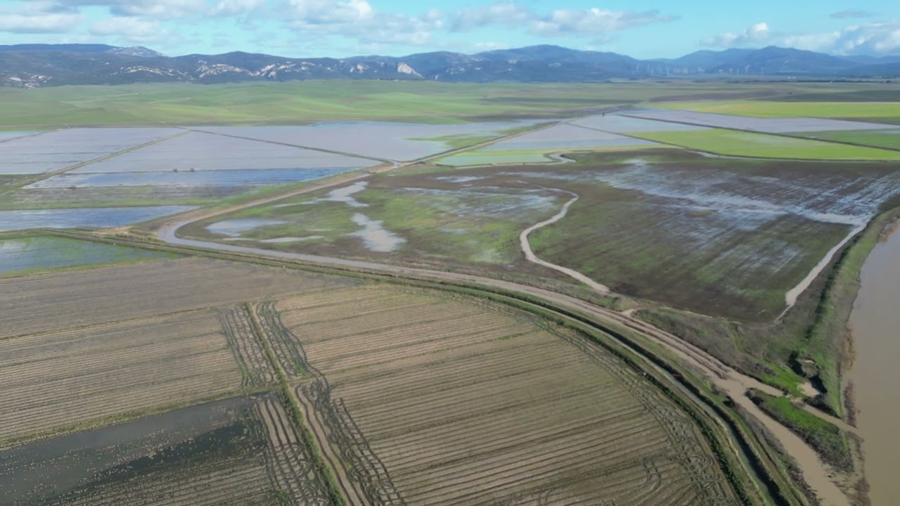Vistas de zona Tapatana La Haba y terrenos al norte del canal colector del este.