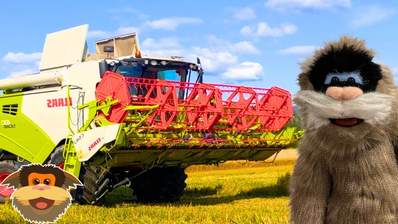 SKURTRESKER! Keiser-Tom tar en titt p&aring; skurtreskeren.